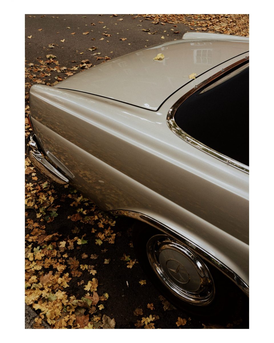 classic car with leafs